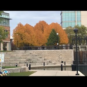 Meet your Posher, Bree